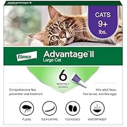 51XMX6HzipL._AC_SS250_ Advantage II Large Cat Flea Treatment & Prevention 6-Pack | Monthly Flea Control for Cats Over 9 lbs