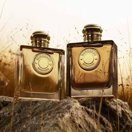 Burberry Goddess Eau de Parfum for Women 3.3 Fl Oz (100ml) – Luxury Vanilla Fragrance – New in Box