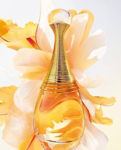Dior J'adore Eau de Parfum for Women – Luxury Floral Fragrance