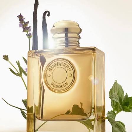 Burberry Goddess Eau de Parfum for Women 3.3 Fl Oz (100ml) – Luxury Vanilla Fragrance – New in Box