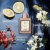 Gucci Bloom Eau de Toilette for Women – Fresh Floral Luxury Perfume