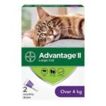 Advantage II Large Cat Flea Treatment & Prevention 6-Pack | Monthly Flea Control for Cats Over 9 lbs