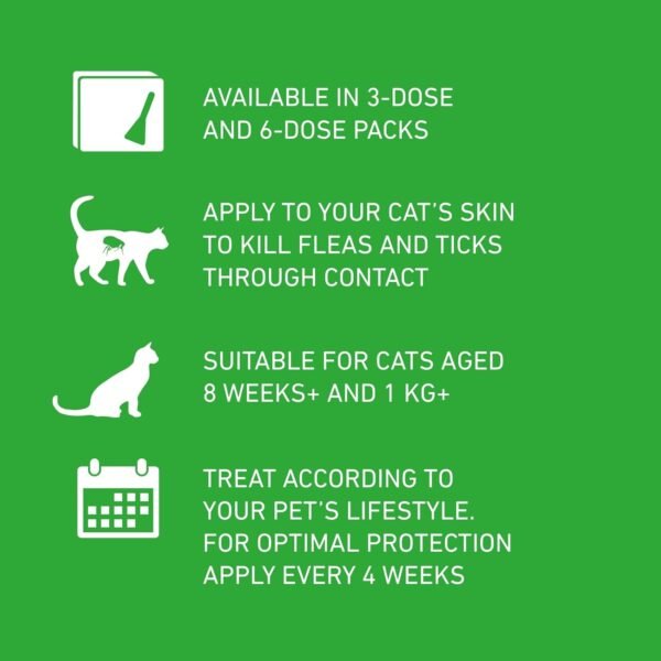 FRONTLINE Plus Flea & Tick Treatment for Cats & Ferrets | 6 Pipettes