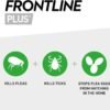 FRONTLINE Plus Flea & Tick Treatment for Cats & Ferrets | 6 Pipettes