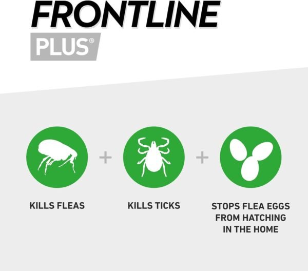 FRONTLINE Plus Flea & Tick Treatment for Cats & Ferrets | 6 Pipettes